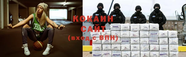 стаф Арсеньев