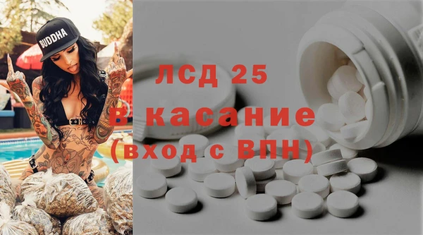 стаф Арсеньев