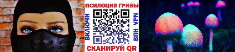 Псилоцибиновые грибы GOLDEN TEACHER  продажа наркотиков  Лосино-Петровский 